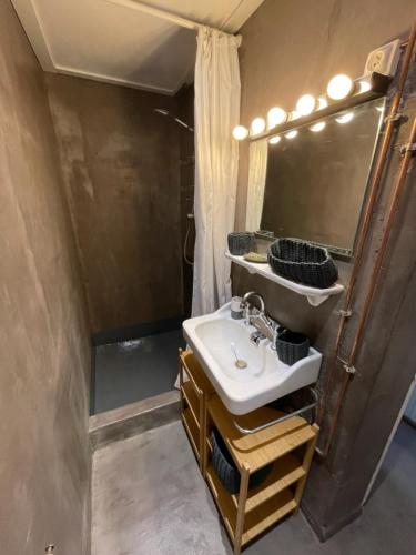 ein Bad mit einem Waschbecken und einer Dusche in der Unterkunft Appartement à Uriage les Bains. in Vaulnaveys-le-Haut
