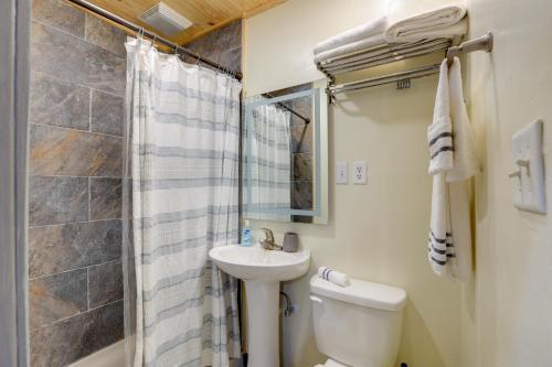 un bagno con lavandino, WC e doccia di Pet-Friendly Studio Near World Equestrian Center! a Morriston