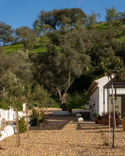 a garden with trees and a building and a hill at Apartamento para pareja, Finca Contrabando. Sanlucar del Guadiana in Sanlúcar de Guadiana