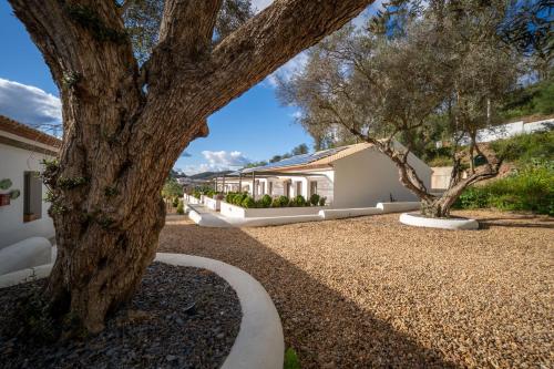 a tree in the middle of a gravel driveway at Apartamento para pareja, Finca Contrabando. Sanlucar del Guadiana in Sanlúcar de Guadiana