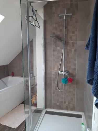 une douche avec une porte vitrée dans une salle de bain dans l'établissement L'instant présent - Chambre Alyzée, à Salbris