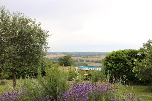 a garden with purple flowers and a swimming pool at Ma Maison sur la Colline in Escosse