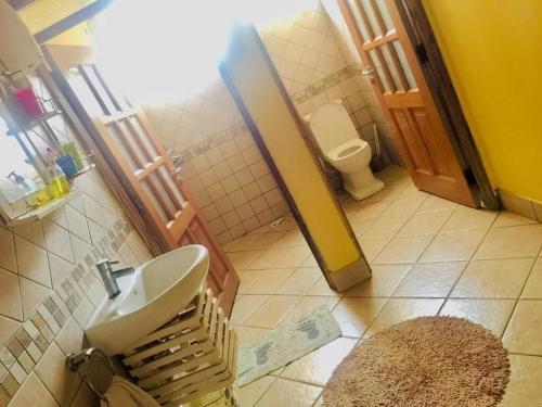 La salle de bains est pourvue d'un lavabo et de toilettes. dans l'établissement Nieta Chunu, à Dar es Salaam