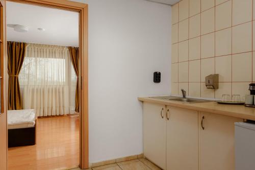 Η κουζίνα ή μικρή κουζίνα στο Business Transit to Therme & Bucharest Airport