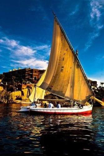 a boat with a large sail in the water at Aswan in Aswan