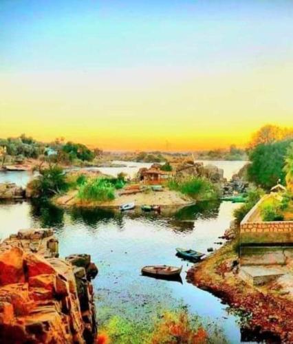- une vue sur une rivière avec des bateaux dans l'établissement Aswan, à Assouan
