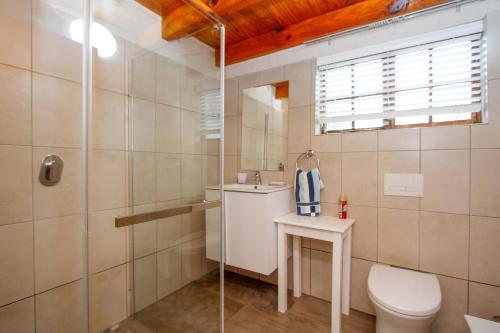 a bathroom with a toilet and a sink and a shower at 19 Mount Champagne in Winterton