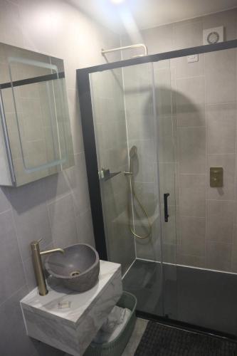 a bathroom with a glass shower and a sink at LakEscape - Waterfront Self- Catering Cabins in Enniskillen