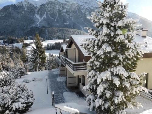 a snow covered christmas tree in front of a house at Apartment La Schmetta 65 Quadroni by Interhome in Lenzerheide