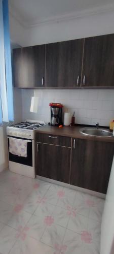 Kuhinja ili čajna kuhinja u objektu Mărgeanului Studio