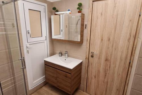 a bathroom with a sink and a mirror and a shower at M&S Apartments Athens in Athens