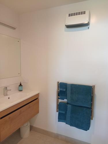 baño con lavabo y aire acondicionado en la pared en The Views, en Dunedin