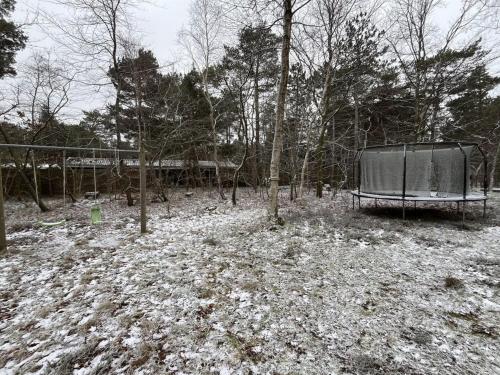 un patio cubierto de nieve con un banco y árboles en Holiday Home Giertrud - 1-1km from the sea in Sealand by Interhome, en Vig