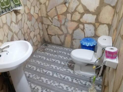 a bathroom with a sink and a toilet at Le Jardin de L'Atacora in Natitingou