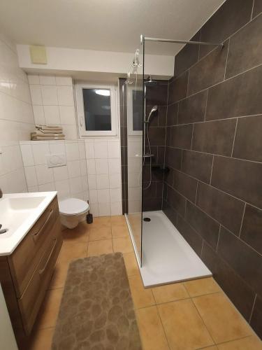 a bathroom with a shower and a toilet at Kleine Auszeit in Cochem