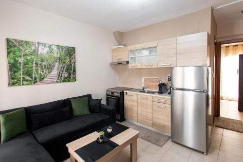 - un salon avec un canapé et un réfrigérateur en acier inoxydable dans l'établissement Unique Modern Apartment, à Alexandroúpolis