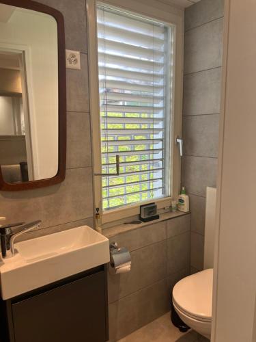 a bathroom with a sink and a toilet and a window at Romantic Space in Nussbaumen