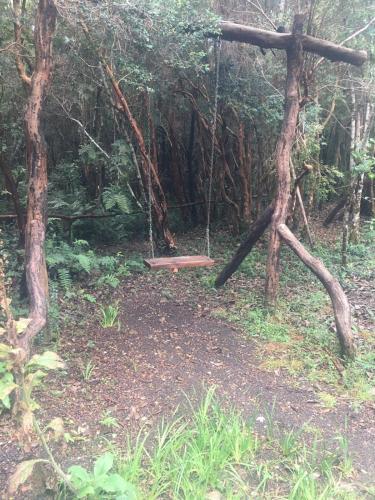 a swing in the middle of a forest at Cabañas Ensenada Bosque Nativo in Ensenada
