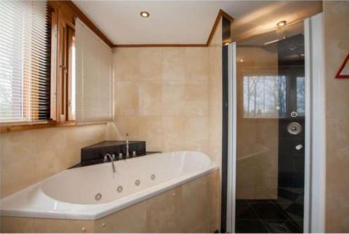 een badkamer met een groot bad en een douche bij Nieuw Beusink in Winterswijk