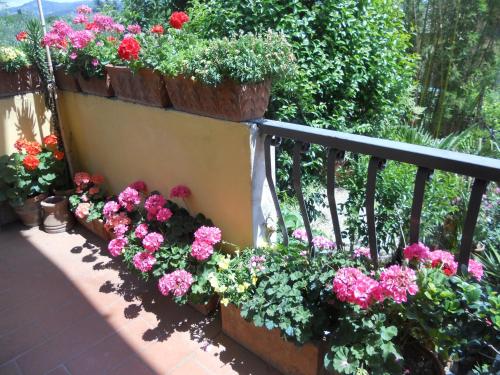 a bunch of flowers in pots on a balcony at Agriturismo Le Macine in Florence