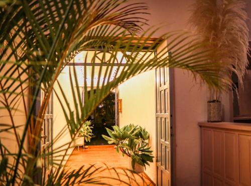 a hallway with potted plants and a mirror at Aura Hotel Parque Barichara By Infinity in Barichara