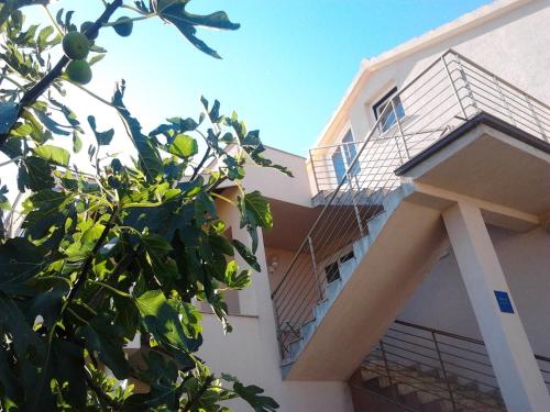 Afbeelding uit fotogalerij van Apartments Jadranica in Murter