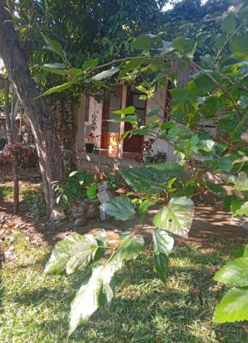 una pequeña casa con un árbol en el patio en Hotel San Antonio, en San Juan La Laguna