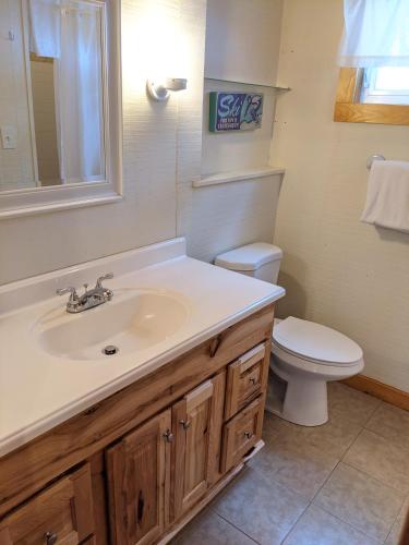 a bathroom with a sink and a toilet at The "Okemo House" at Trailside in Ludlow