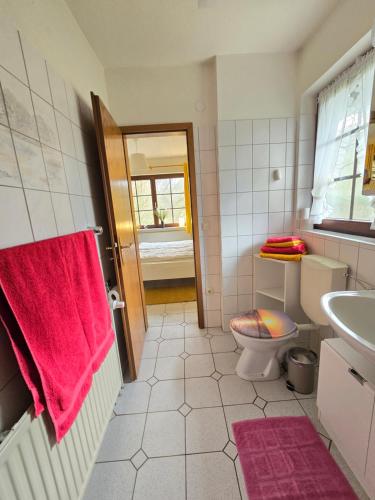 W łazience znajduje się toaleta, umywalka i czerwony ręcznik. w obiekcie Haus Seezeit w mieście Plau am See
