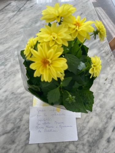 a bouquet of yellow flowers with a note at Marchionis in Cremona