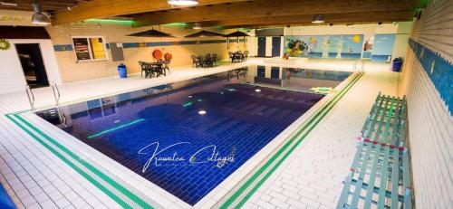 an overhead view of a large swimming pool at Wellness cottage met hottub 'Auckland' by Kawatea in Ewijk