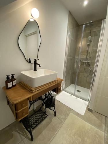 une salle de bain avec un lavabo et une douche avec un miroir dans l'établissement Gîte paisible au style rétro, à Réty