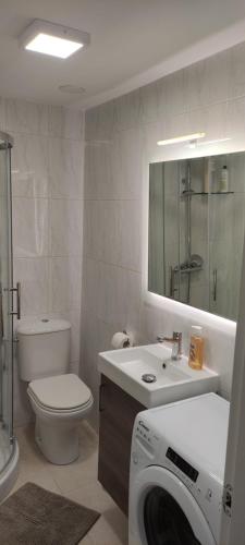 een badkamer met een wastafel en een wasmachine bij MARISMAS DO ANLLONS in Ponteceso