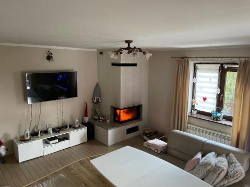 Televisyen dan/atau pusat hiburan di MiiG Residence Jacuzzi & Sauna Zator Oświęcim