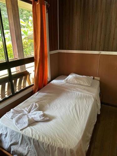 Gallery image of Casa Sumary in Pavones