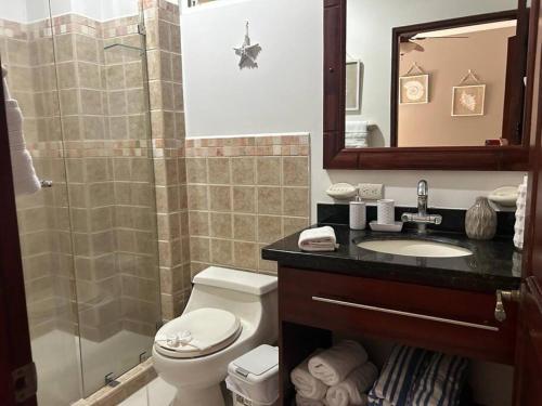 a bathroom with a toilet and a sink and a shower at Villa Ela en Playa Herradura in Herradura