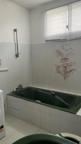 uma casa de banho com uma banheira verde num quarto em Appartement F2 ROSALINDA em Les Abymes