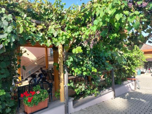 Zahrada ubytování Ferienwohnung Gerti