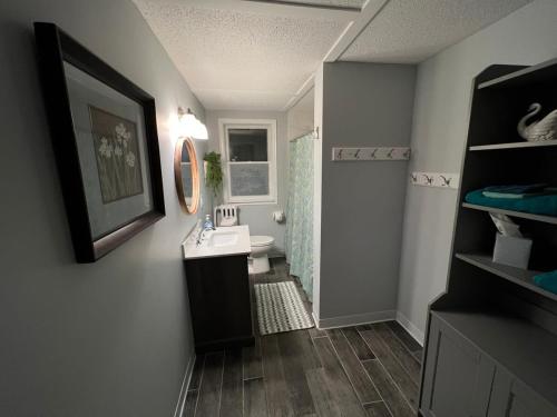 a bathroom with a sink and a toilet and a mirror at 4BR 2BA Home in Charming St Paul - Sleeps 10 in Saint Paul