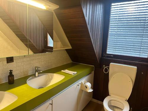 ein Badezimmer mit einem Waschbecken, einem WC und einem Spiegel in der Unterkunft L8 Street - Niefern-Öschelbronn in Niefern-Öschelbronn