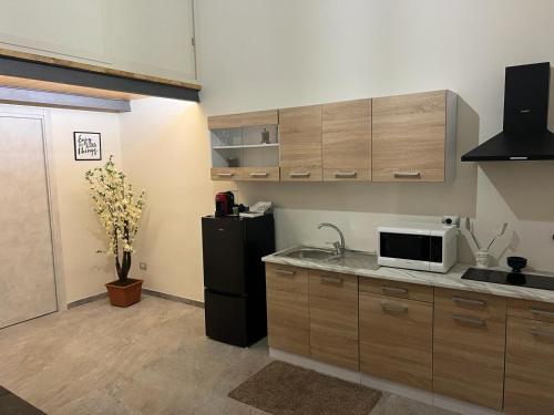 Kjøkken eller kjøkkenkrok på Luxury Loft A2PassiDa