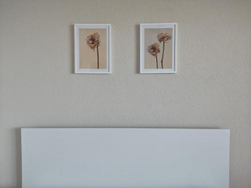 twee ingelijste foto's van bloemen aan een muur bij Apartment Polkaposki Trpejca in Trpejca