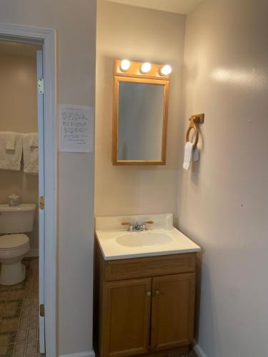 a bathroom with a sink and a mirror and a toilet at The Valley Inn in Maggie Valley