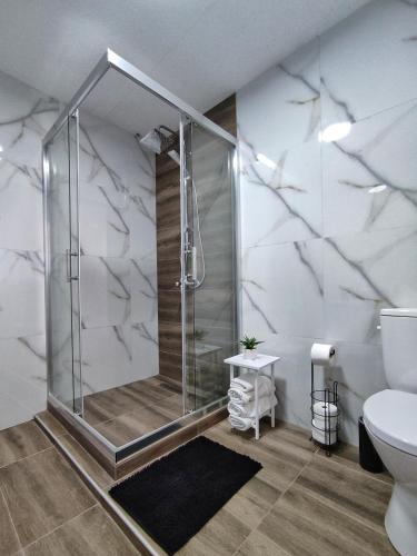 a bathroom with a shower and a toilet at Apartment Polkaposki Trpejca in Trpejca