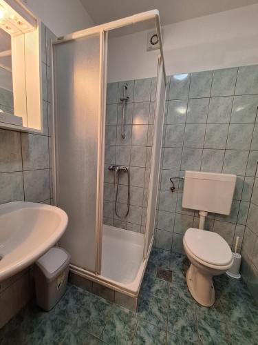 a bathroom with a shower and a toilet and a sink at Župnijski apartmaji in Dolenjske Toplice