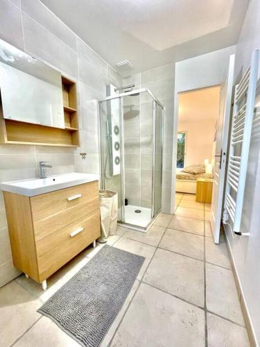 une salle de bain avec une douche, un lavabo et un comptoir dans l'établissement Charmante Villa pour 10 personnes, à Saint-Augustin