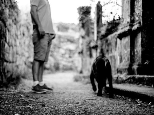 a man standing next to a dog on a street at Aldea Rural Pazos De Arenteiro in Pazos de Arenteiro
