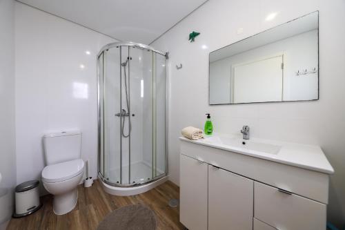 een badkamer met een douche, een toilet en een wastafel bij Casas com Amoras in Serra da Pescaria in Famalicão
