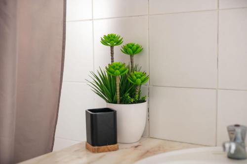 Family Friendly Azorean Apartment