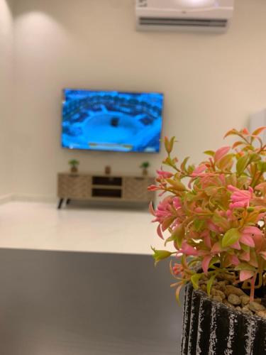 a vase with a plant in front of a tv at شقة فاخرة in Al Kharj